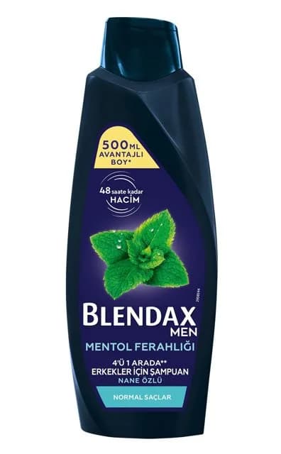Blendax Men Mentol Ferahlığı 500 ml