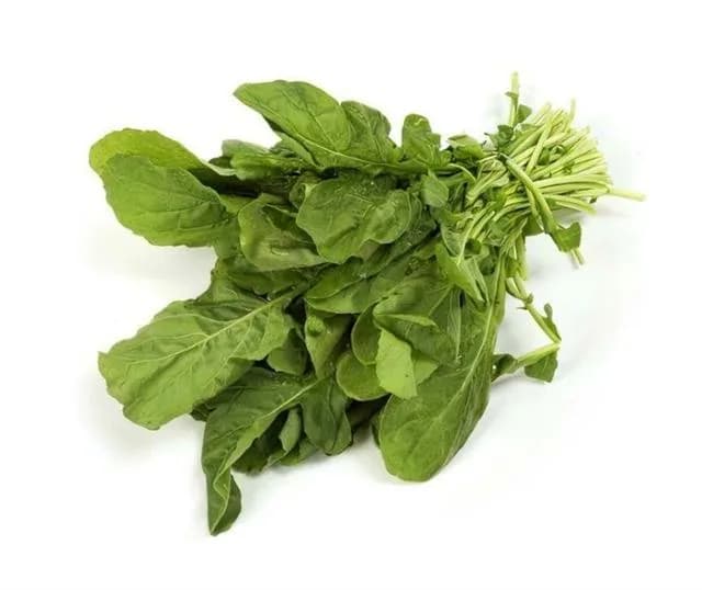 Roka 1 Bağ