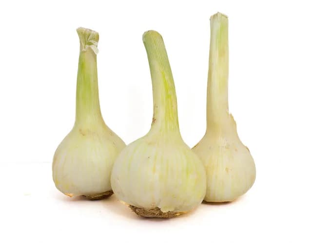 Baş Sarımsak 1 Adet